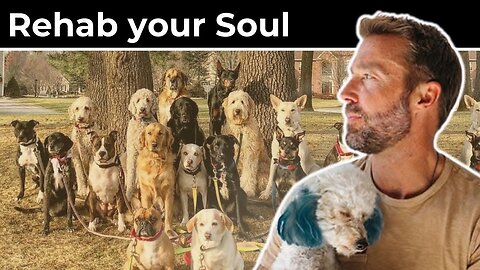 The Power of the Human-Animal Bond: God = Dog? | Zach Skow (#67)