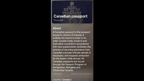 Customs Officials Lose To Informed Traveller On Passport Issue