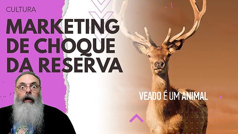 MARCA faz CAMPANHA que OFENDE TODAS AS MINORIAS ao MESMO TEMPO: MARKETING de CHOQUE veio para FICAR