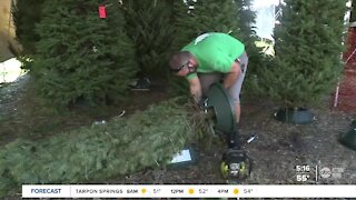 Christmas decorations in high demand during pandemic