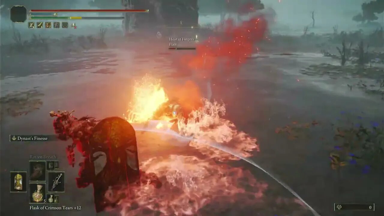 Elden Ring invasions #75