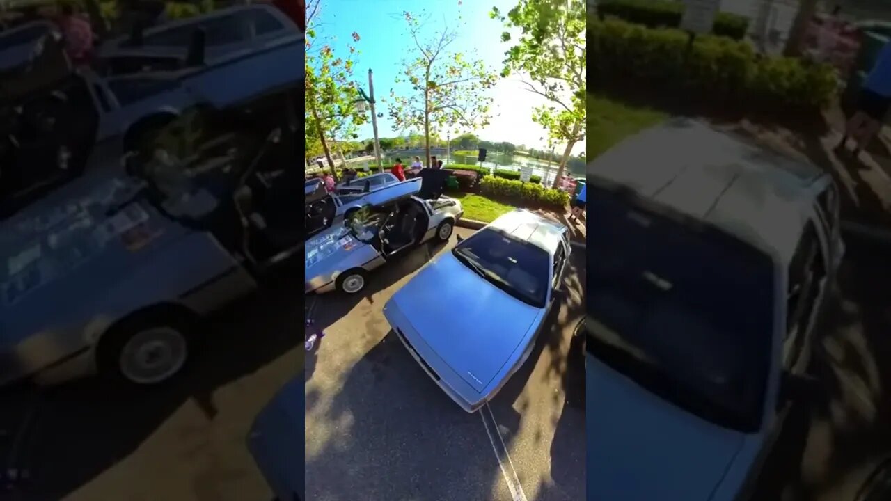14 DeLorean’s #shorts #deloreanmotorcars #insta360 #backtothefuture