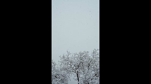 snowfall