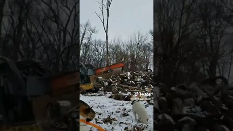 I came home to this... My wife's first time splitting wood and video.