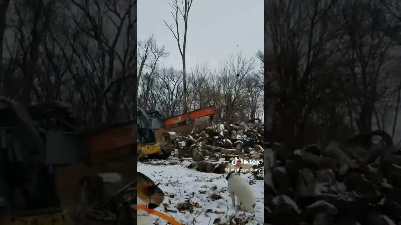 I came home to this... My wife's first time splitting wood and video.