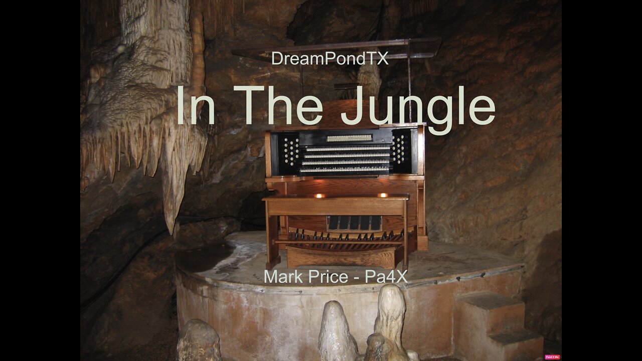 DreamPondTX/Mark Price - In The Jungle (Pa4X at the Pond, PA)