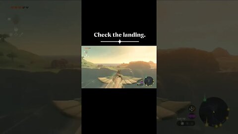 #thelegendofzelda #tearsofthekingdom Link is a skilled pilot.