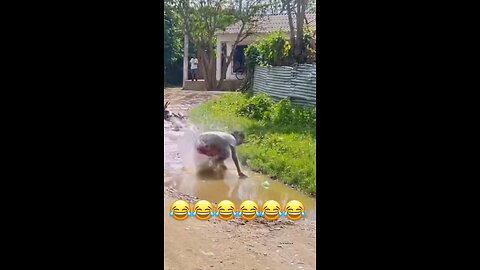 Crazy💀funny dogs compilation 😹