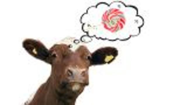 Higher Quality Livestock Diets