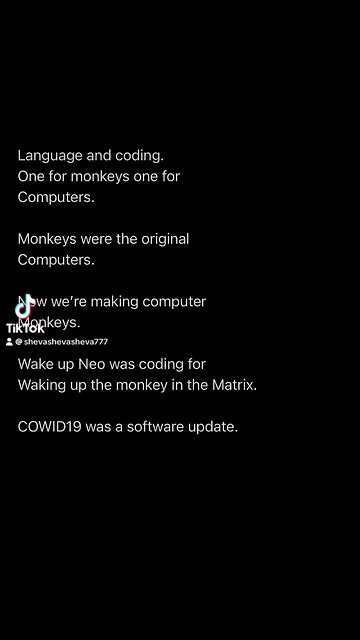 🤔🙉🤔🙊🤔🙈🤔🐒