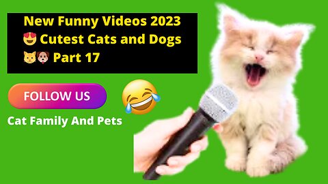 New Funny Videos 2023 😍 Cutest Cats and Dogs 🐱🐶 Part 17