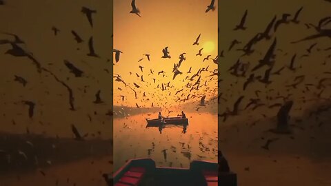 Beautiful Nature