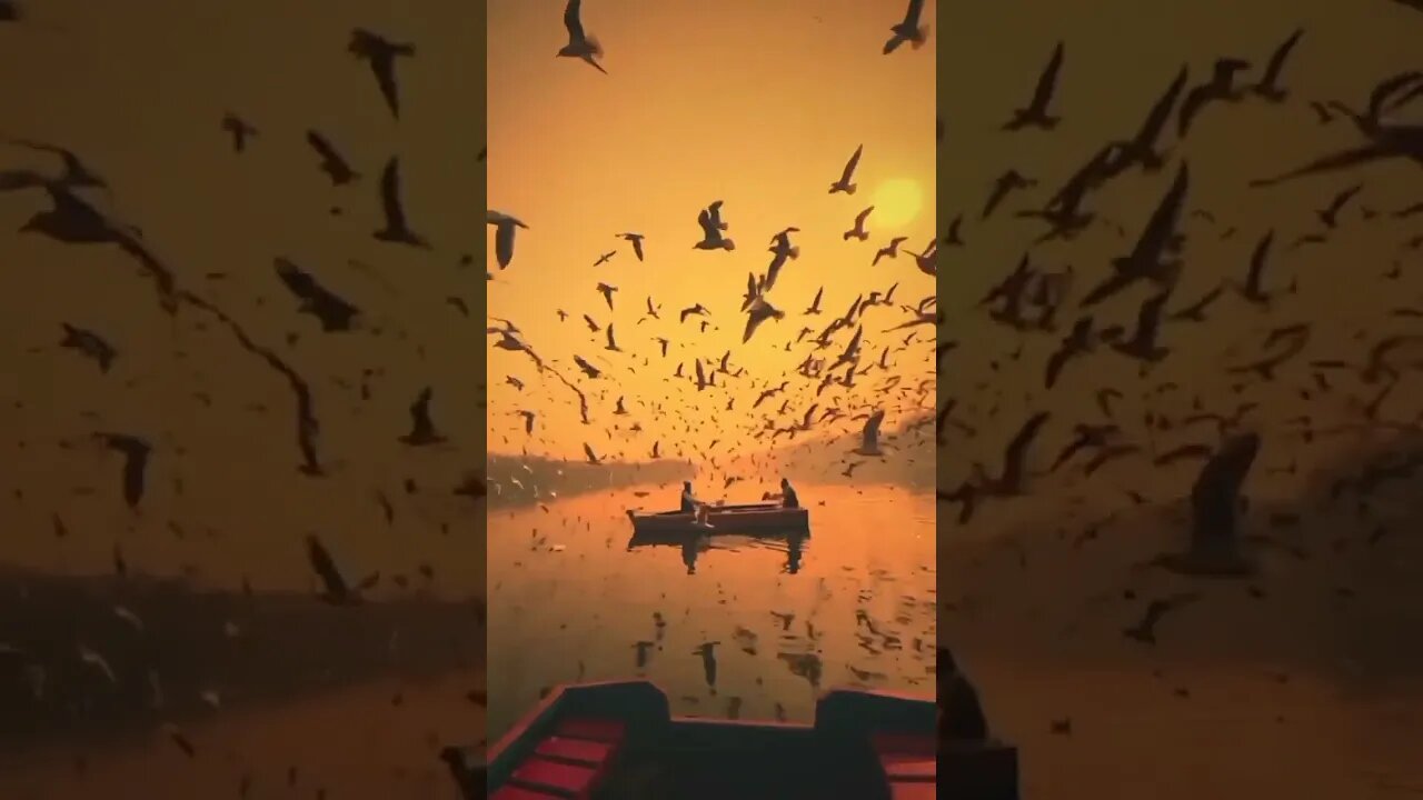 Beautiful Nature