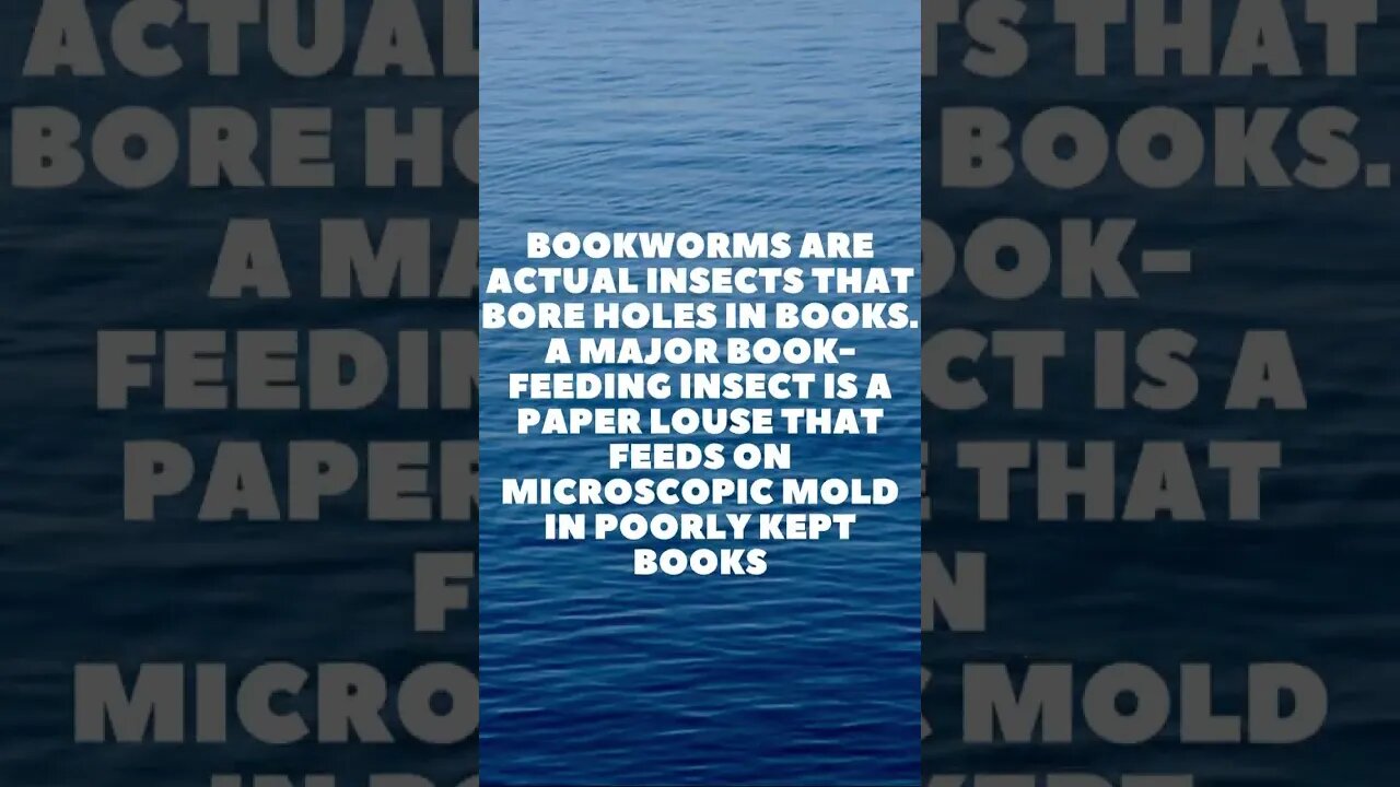 Incredible Random Facts That Will Expand Your Mind! [2023] #shorts #facts #viralshorts #fyp #life