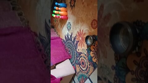 Milo meditation and Stanley... Bella on Bowls 🎶