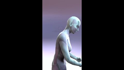 How To Correct Your Posture ✅