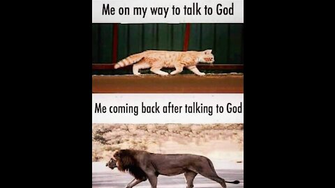 Chat about what I can do, what you can do