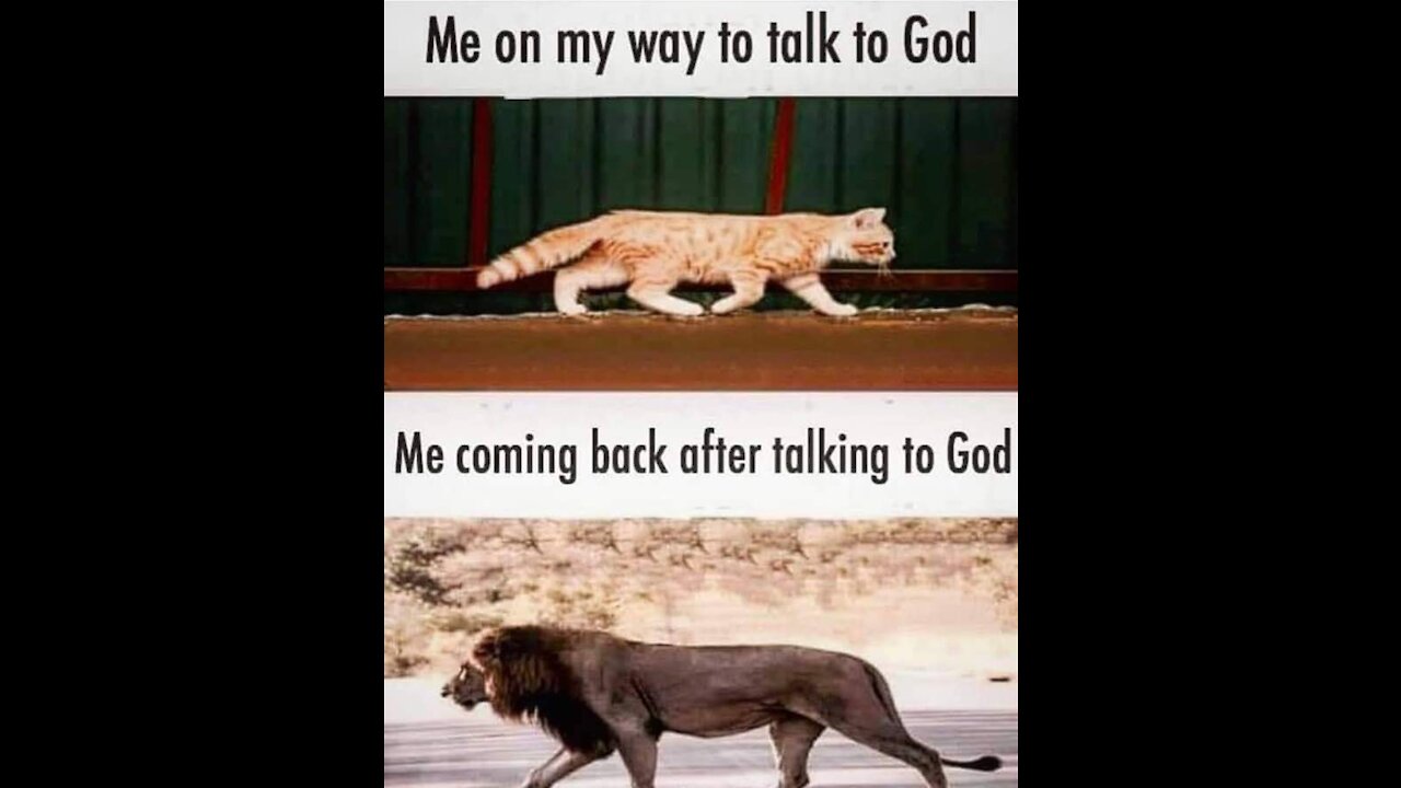 Chat about what I can do, what you can do