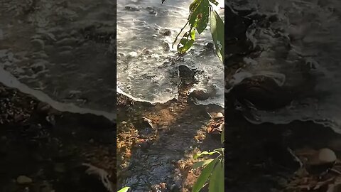 Icy Conditions in the Great Smoky Mountains