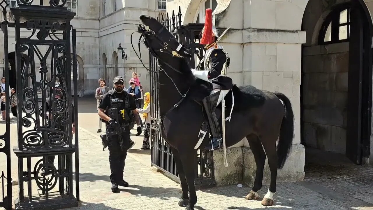 Bikes scare horse Slow motion #horseguardsparade