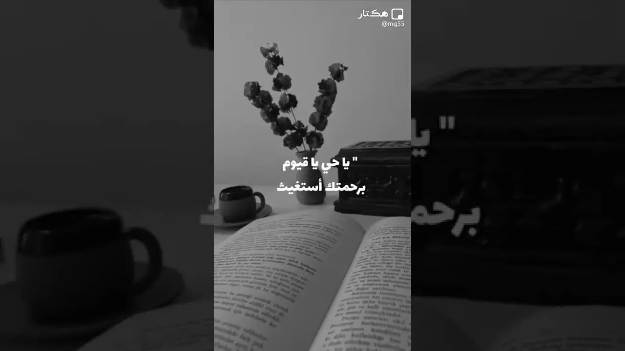 ٤ نوفمبر، ٢٠٢٢