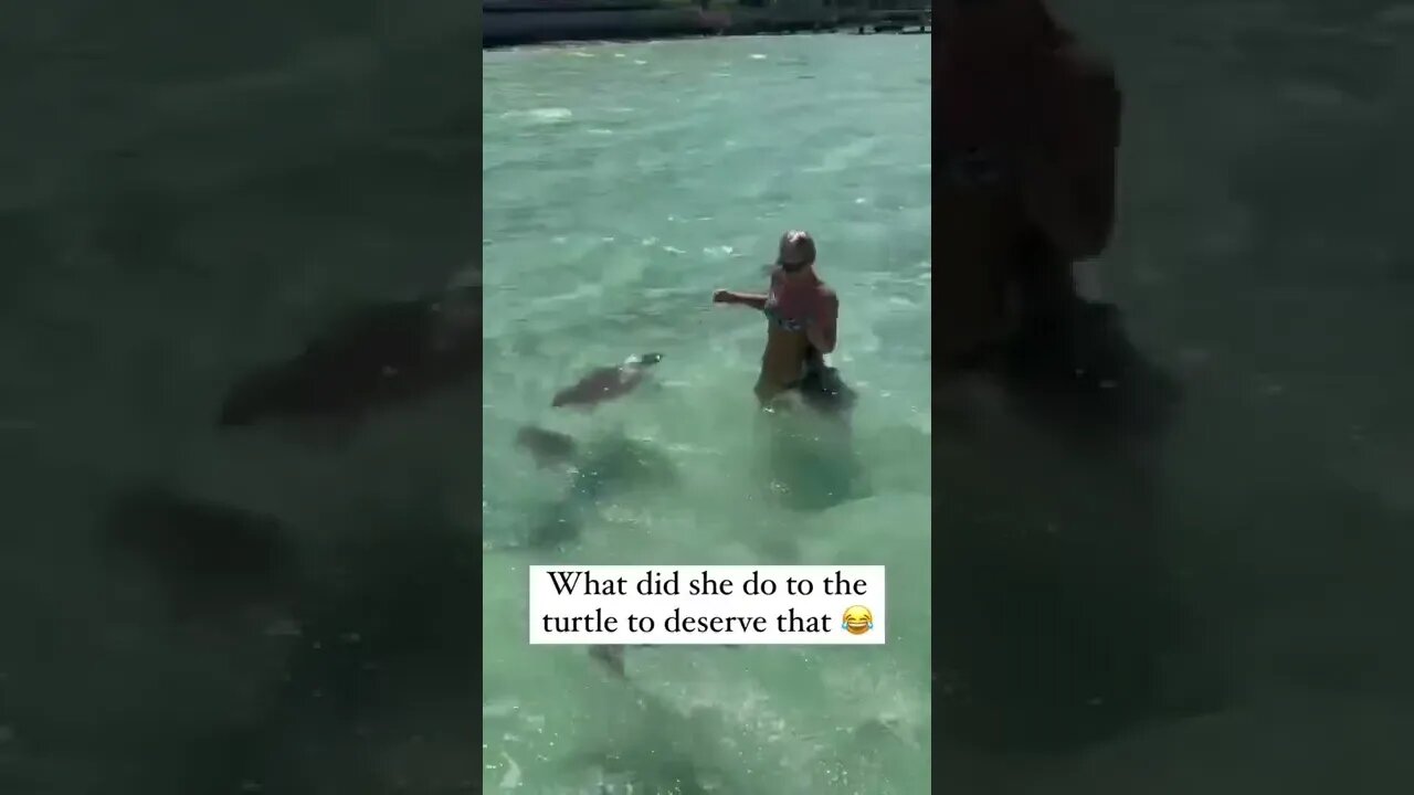 She must have really disturbed the turtle 😂 Follow me: @realdevindavis