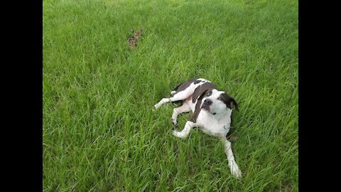 EP 3 - Adventures of Wallie and Gen Sterling Price