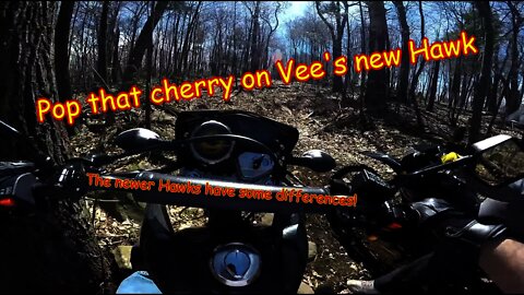 [E14] Hawk 250 Vee and I pop his Hawks cherry! Differences between the new bikes dirtbike