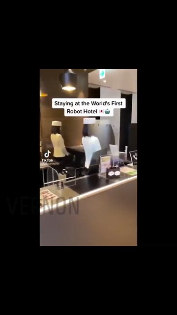 ROBOT HOTEL...WTF