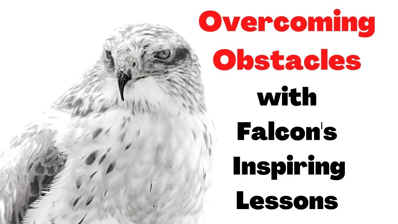 Achieve Your Goals with the Help of the Falcon's Powerful Traits
