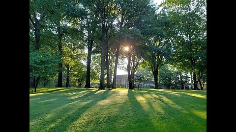 Graceland Cam