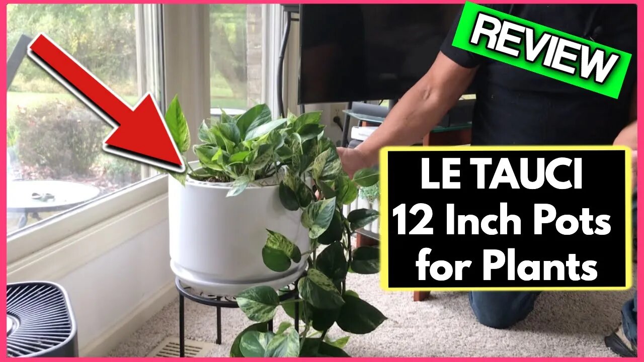 LE TAUCI 12 Inch Pots for Plants