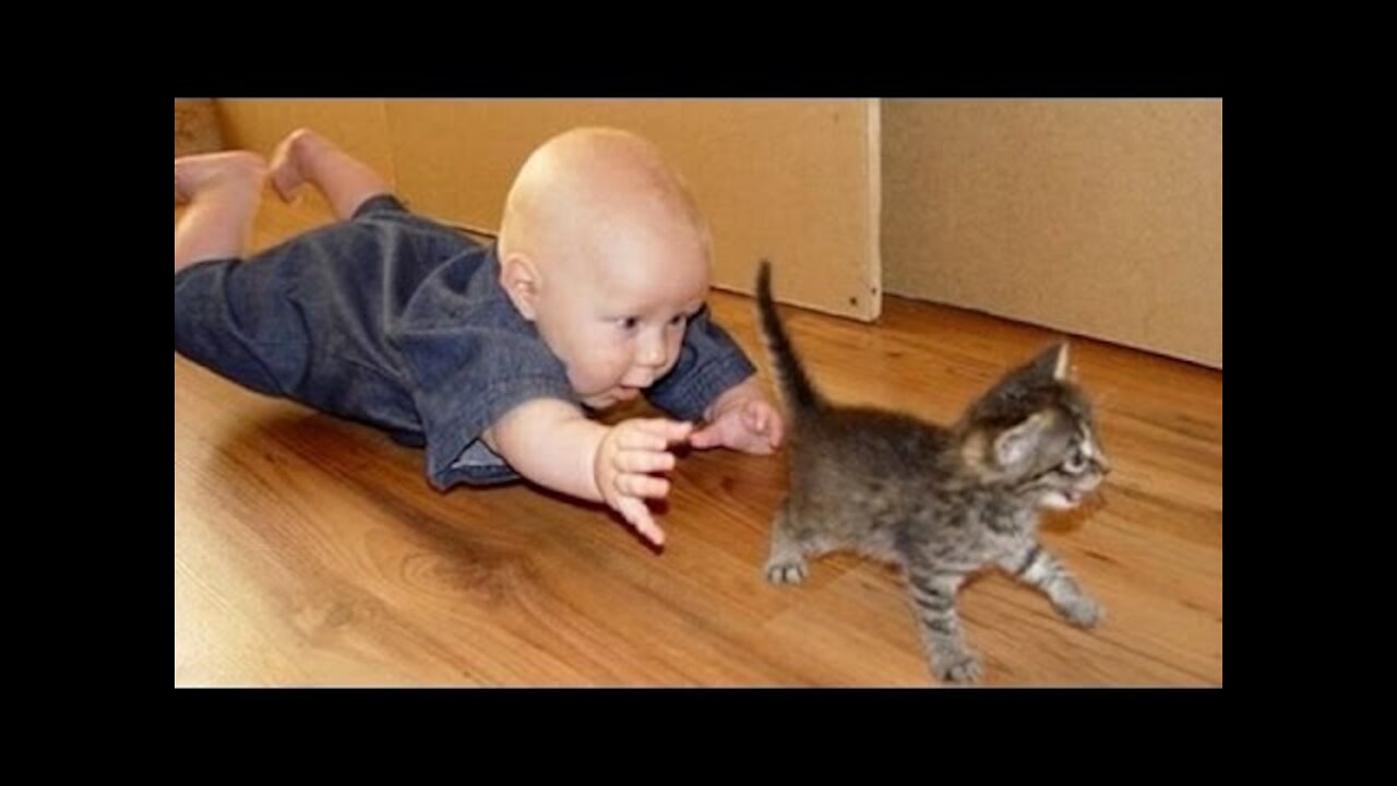 Babies meting cats for the first time try not to laugh 😂❤