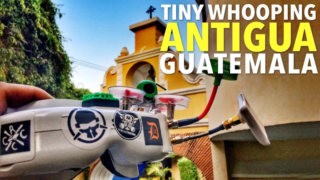 Tiny Whooping In Beautiful Antigua, Guatemala