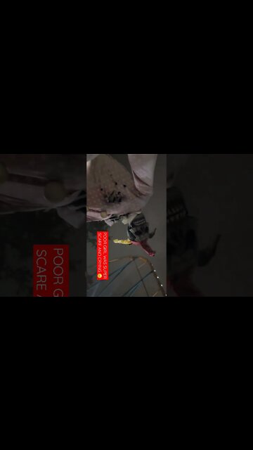 WHEB YOUR KID IS SCARE TO GO IN THE HUNTED HOUSE #shorts #omgitsdezi #vblog