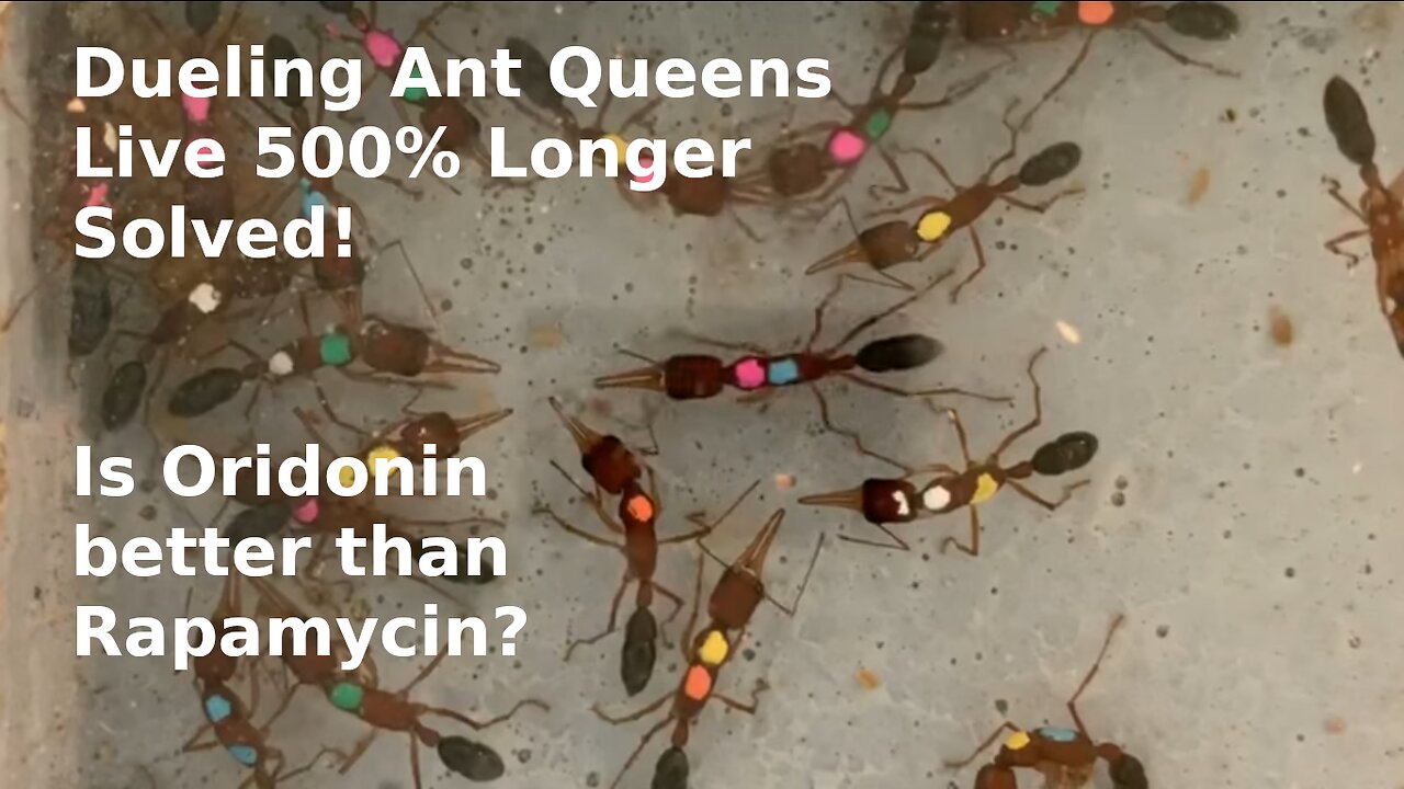 How Queen Ants Live 500% more, Solved! and Is Oridonin better than Rapamycin?