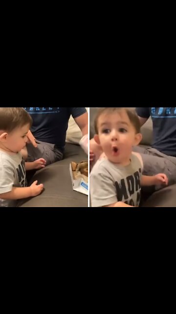 Kid Has Wholesome Reaction To Box Of Brownies