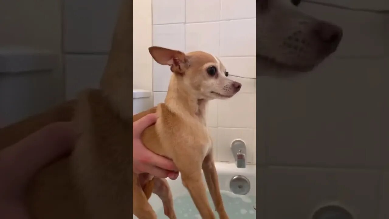 What is it like to have someone cast a Spell on you ? , #short