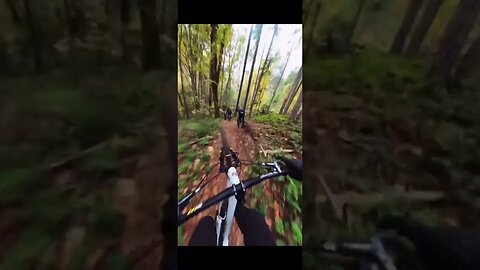 Outdoor off-road, like this forest path, extreme sports