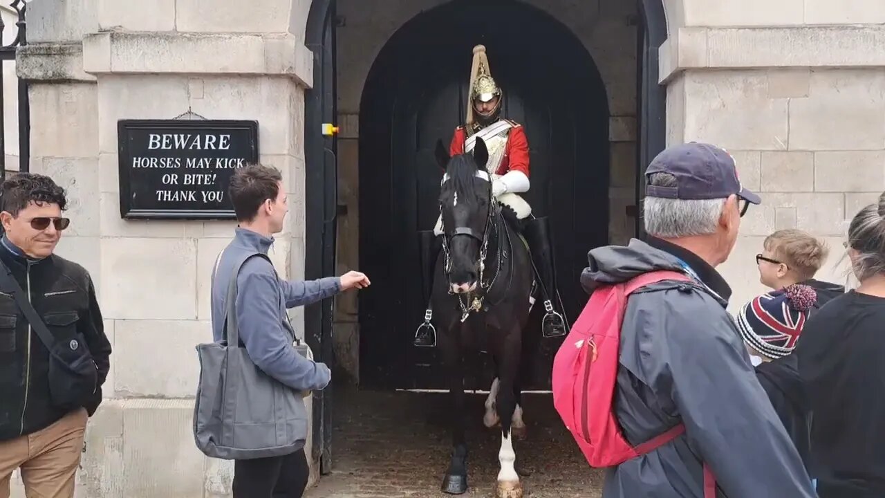 Feeding carrots 🥕 to the horse #horseguardsparade