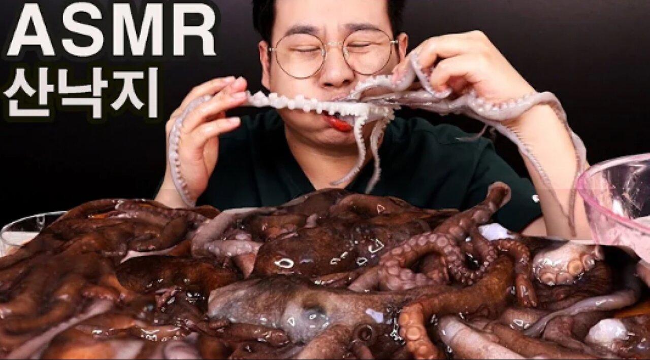 산낙지 살아있는 통째로 먹방 리얼사운드 ASMR MUKBANG ! SLICED RAW OCTOPUS 活章鱼, 吃播