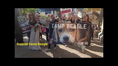 Protest against torture on dogs - Support Camp Beagle