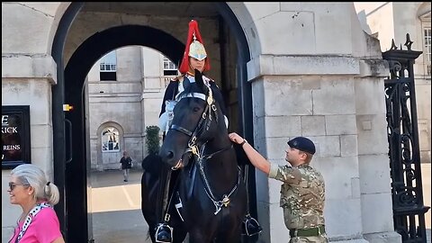 Soldier checks horse is hydrated by checking the skin #horseguardsparade