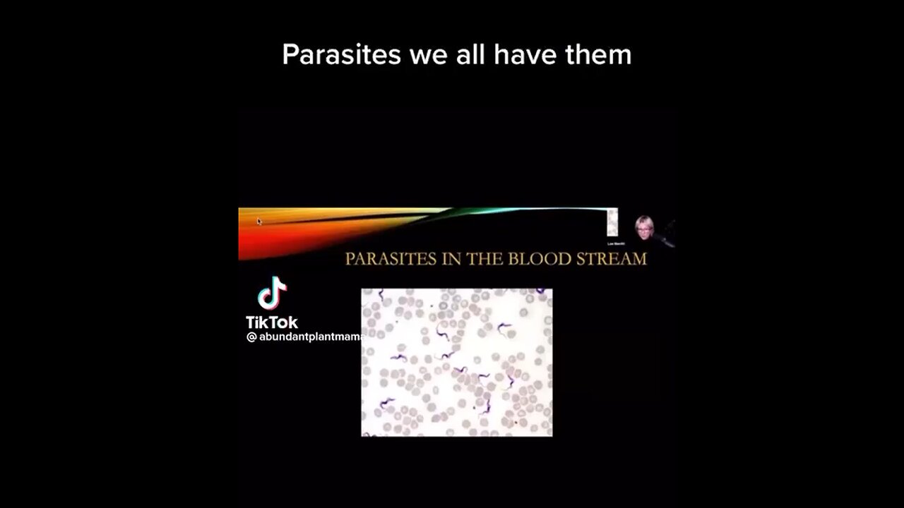 Everyone Has Parasites & Should Take Ivermectin Or Fenbendazole Two Weeks Per Year