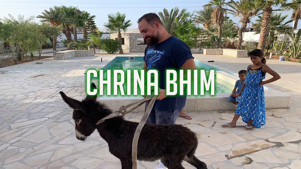 Chrina Bhim Fi Tounes 🇹🇳 (We bought a Donky) ARABIC/TUNISIAN