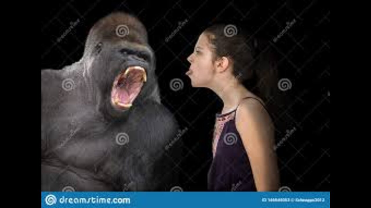 * GORILLA * | Animals For Kids