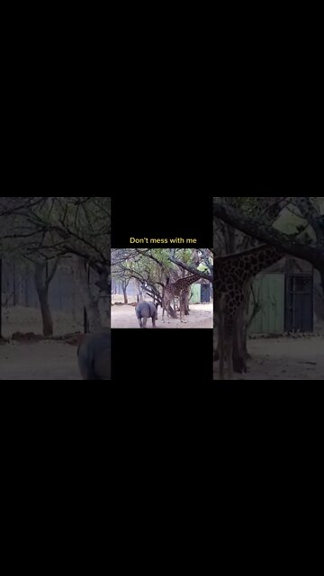 Most Amazing and trending video||relaxing your mind||trendig videos|| #shorts #trending #viral #live