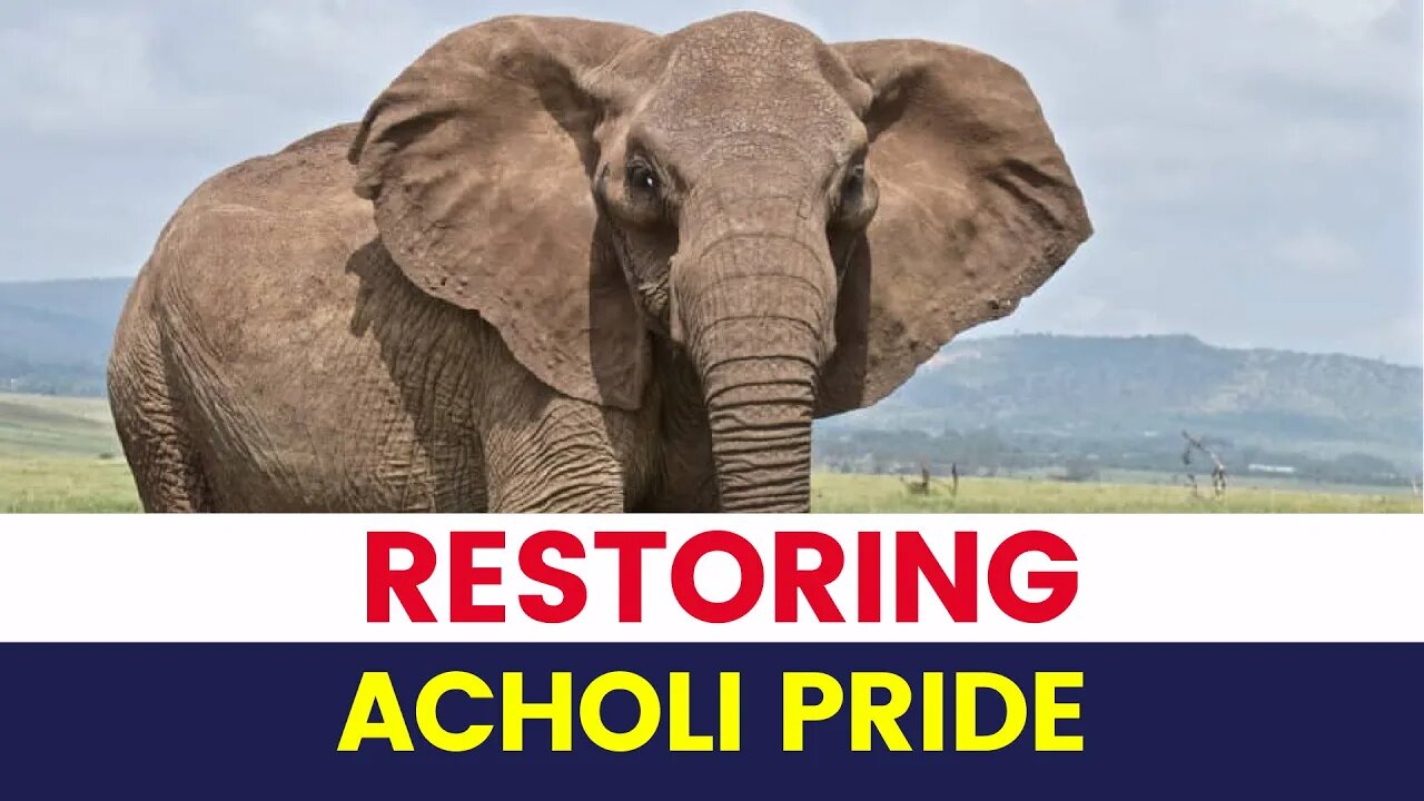 Restoring Acholi Pride | Lucky Bosmic Otim