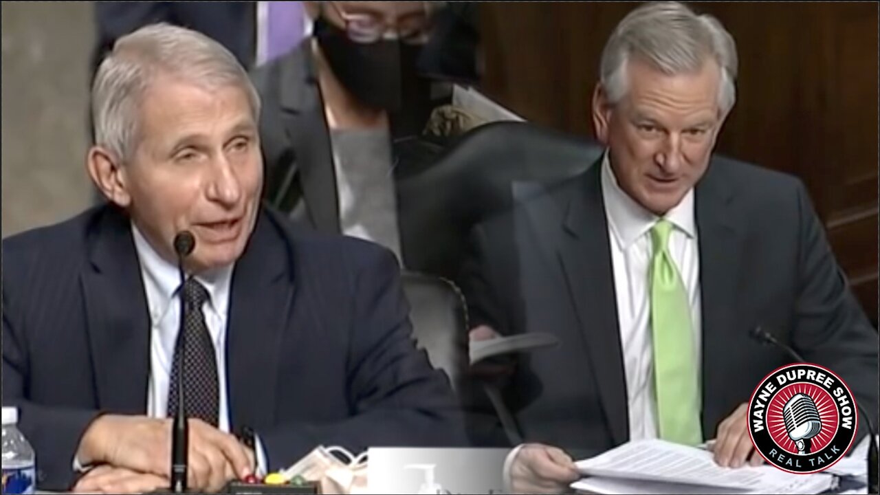 'Are You Communicating With Them?': Tuberville Grills Fauci Over Current Research In China