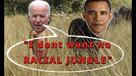 JOE Biden Racial Jungle